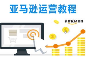 Amazon亚马逊精品运营资源教程 亚马逊跨境电商开店在线课程集锦版